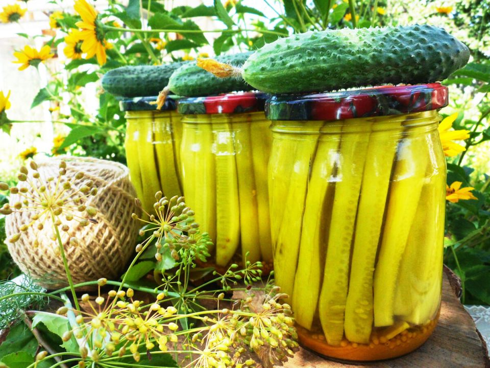 Заготовка огурцов: новый свежий рецепт для вашей зимней закуски