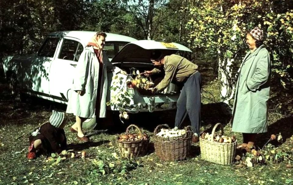 Грибная охота в СССР глазами повседневности и журнала Крокодил