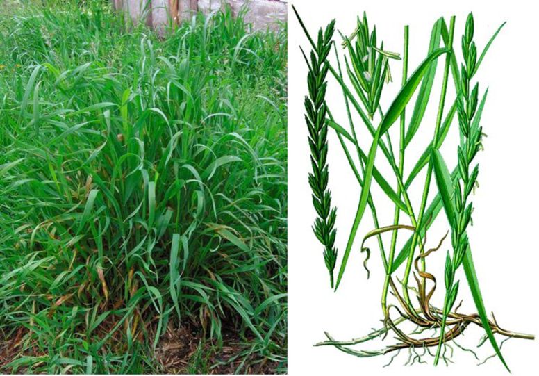 ����� ���� �����: ��� ��������� ���������� ������������ ���� � ����������� �������