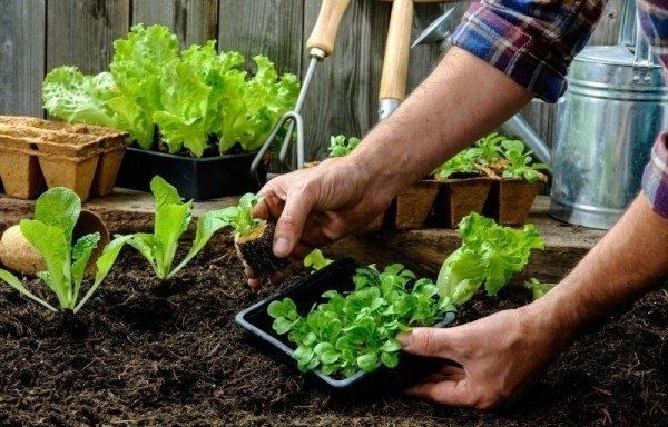 ��� �������� ���������������� ������ ��� ����������� ������� � ��������� ���� ��������