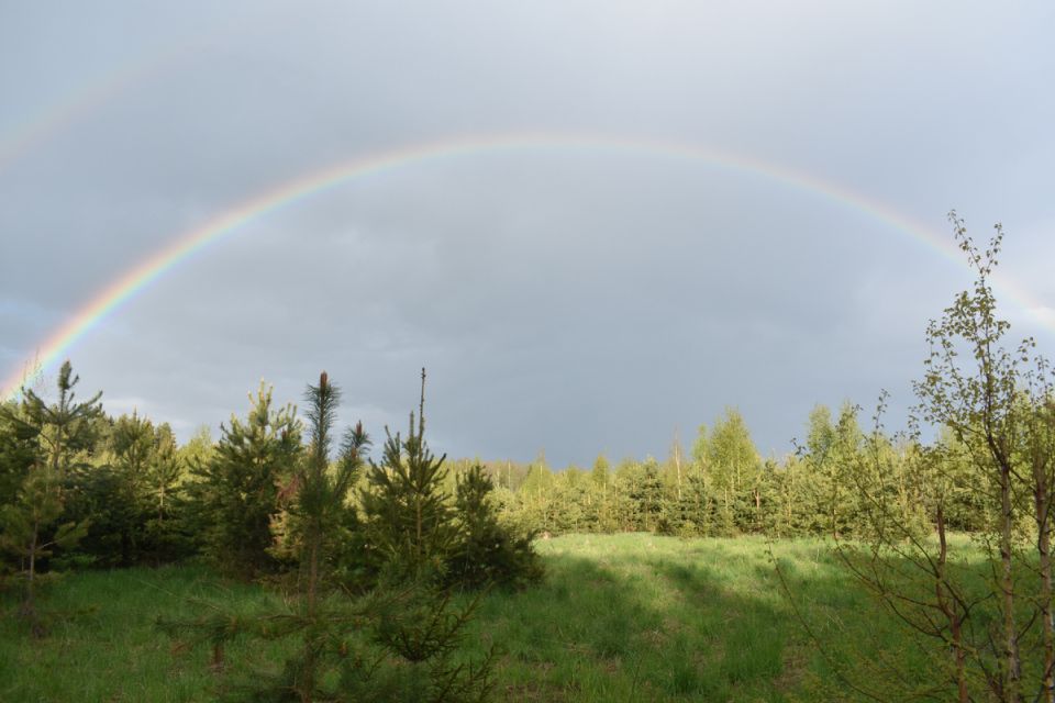 ����� �������� �����: ��� ������� �������� ������ ����������