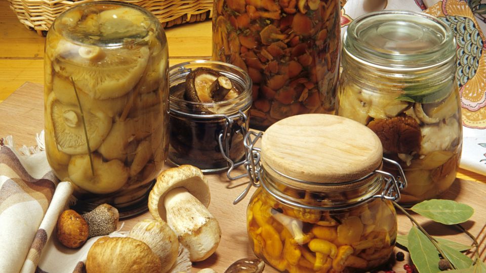 ��� ������ ������: ������ ������� ������� � ������ �� ���-������