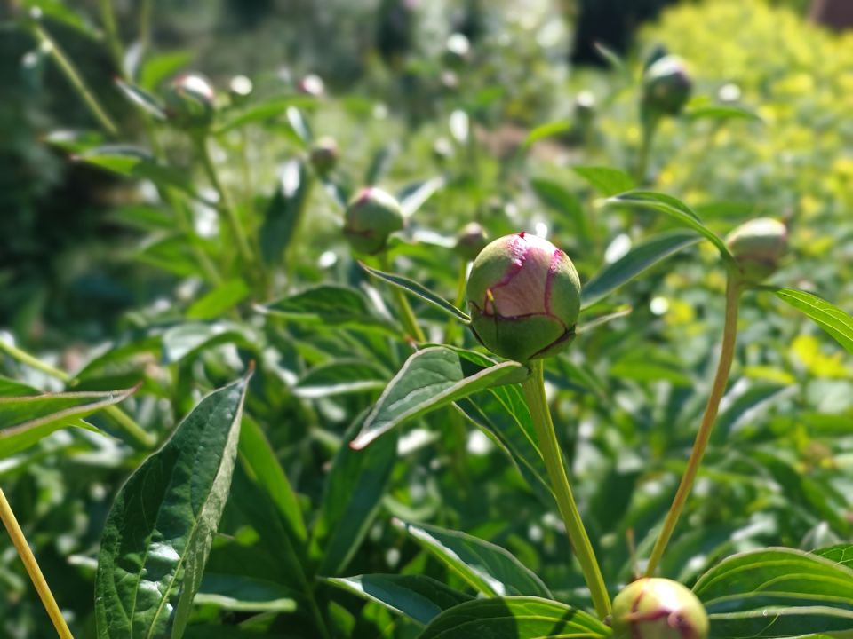 ������� ����� ������: ��� �������� ������ � ��������