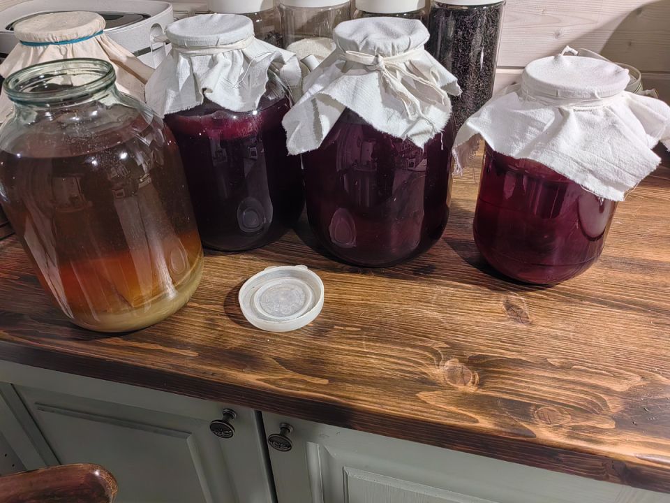 ������� ��������� ������������� ��������� ������