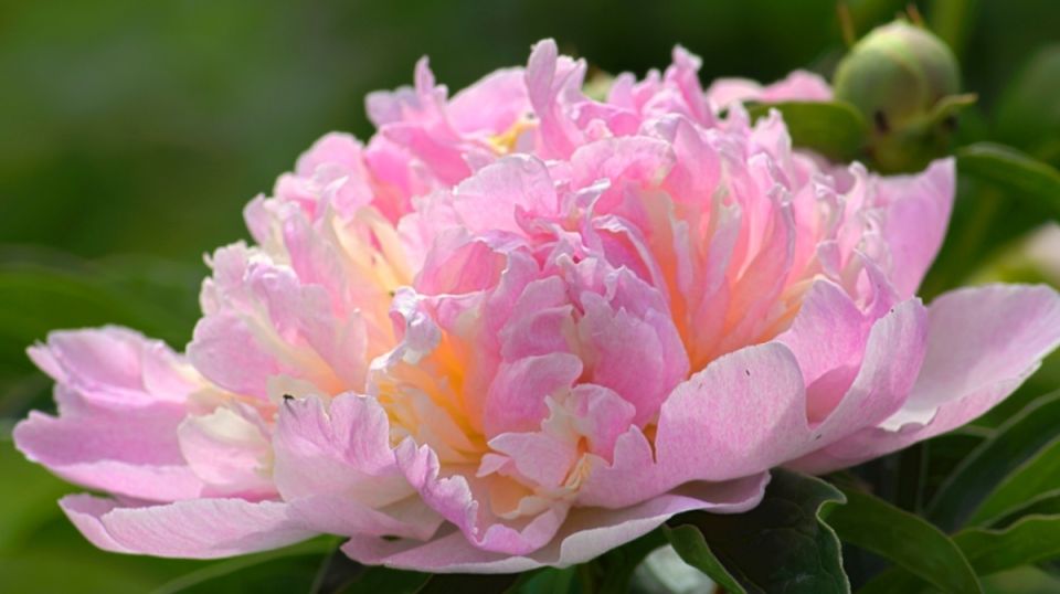 ��� ���������� � ������ ����� �������� ��� ������������� �������� � ��������� ����