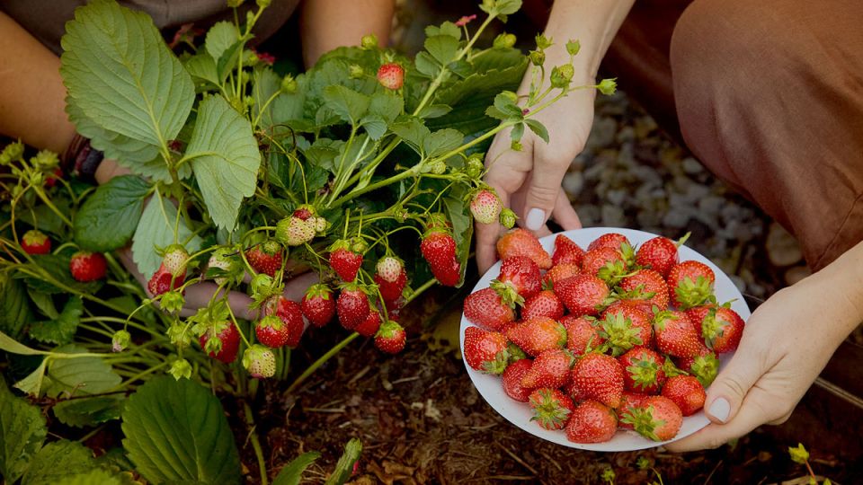 ���� ������� ������ � ����� ���� ������� � ������ �� �����