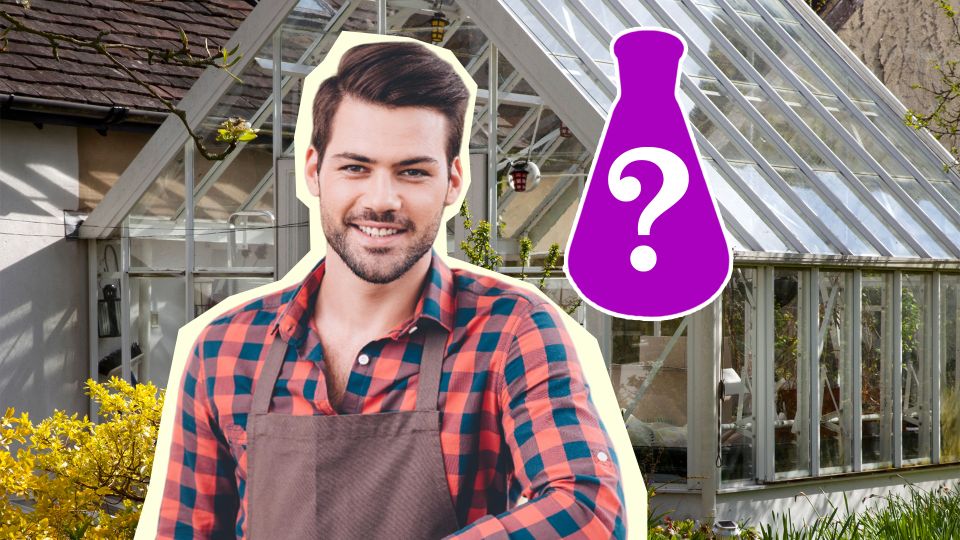 ������� ������� ����� �� �������: ������ ����������� �� ���� ������� ���������