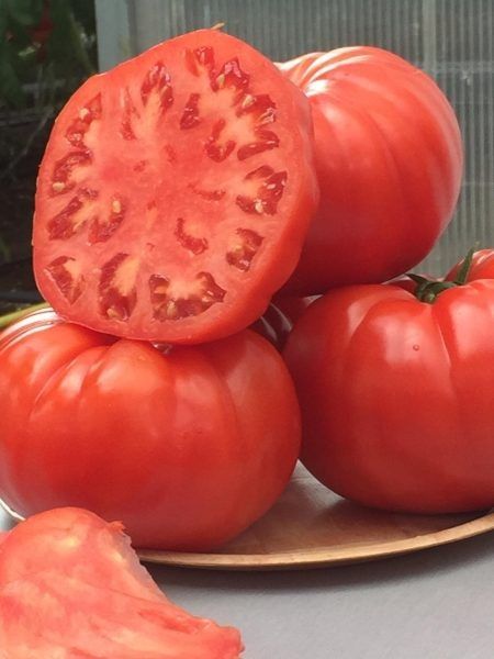 ����� ����������: ��������� ����������� � ������� �����