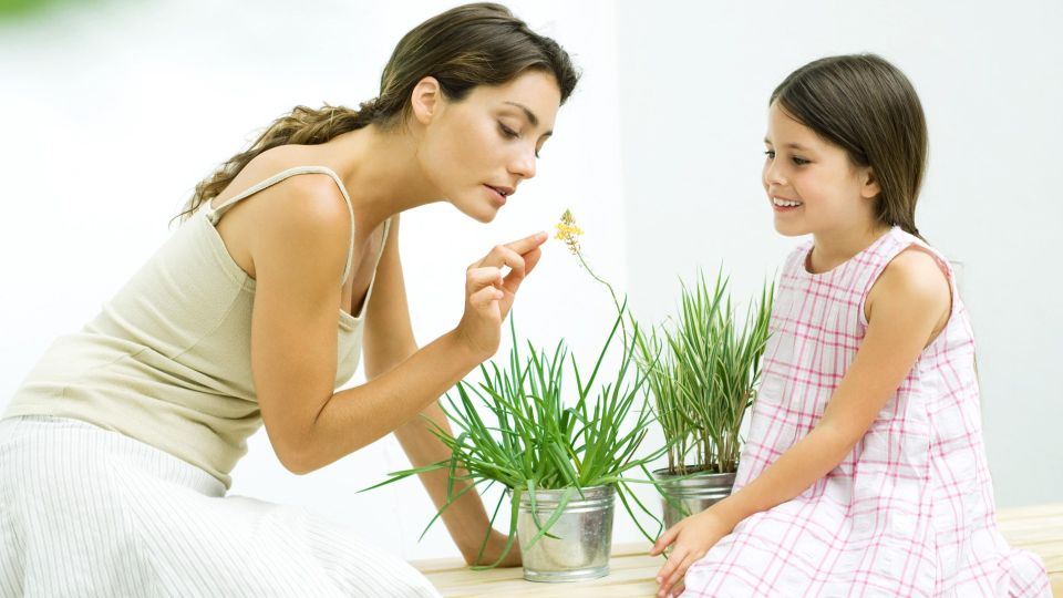 ��������� �������: ���� ������ ����� ����� � ������� �������