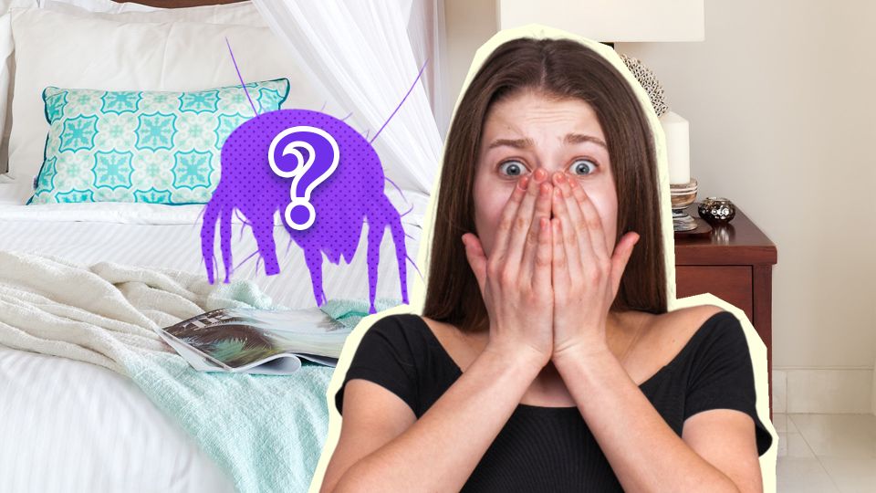 ������� �� ���������: ������� ������������ � ������ �������