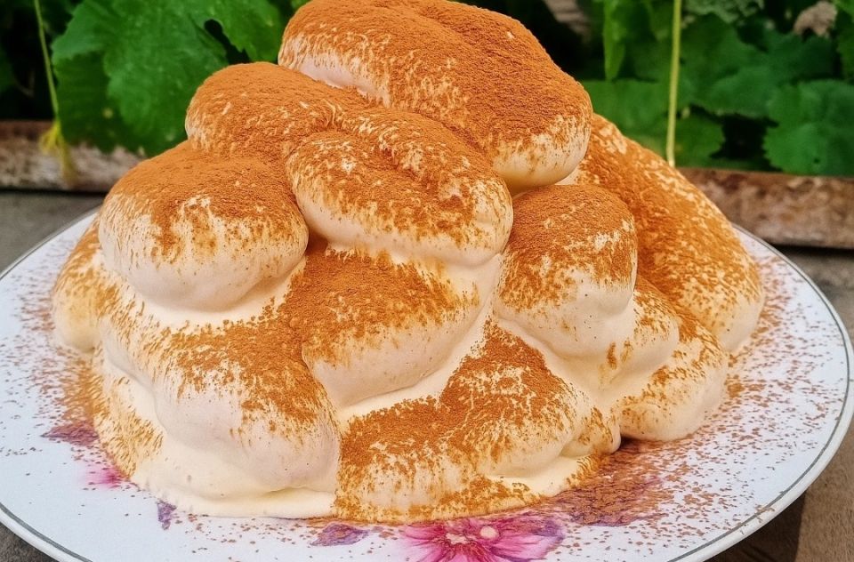 ���� �������� ��������