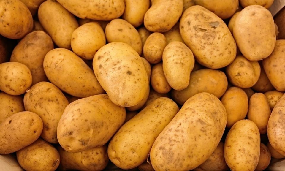 ���������������� ���������: ����� ��������� ��� ��������