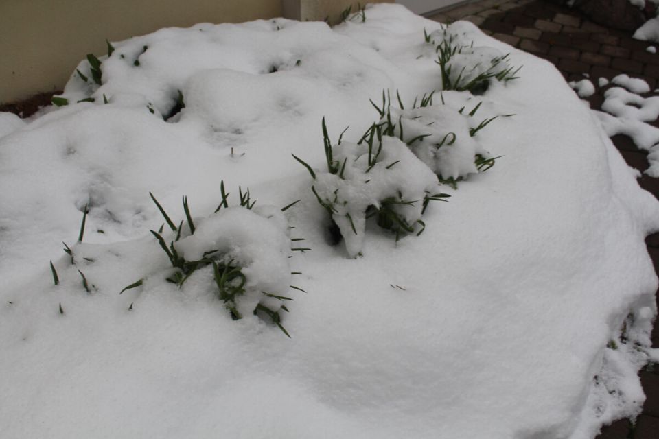 ������� ����� � ����������