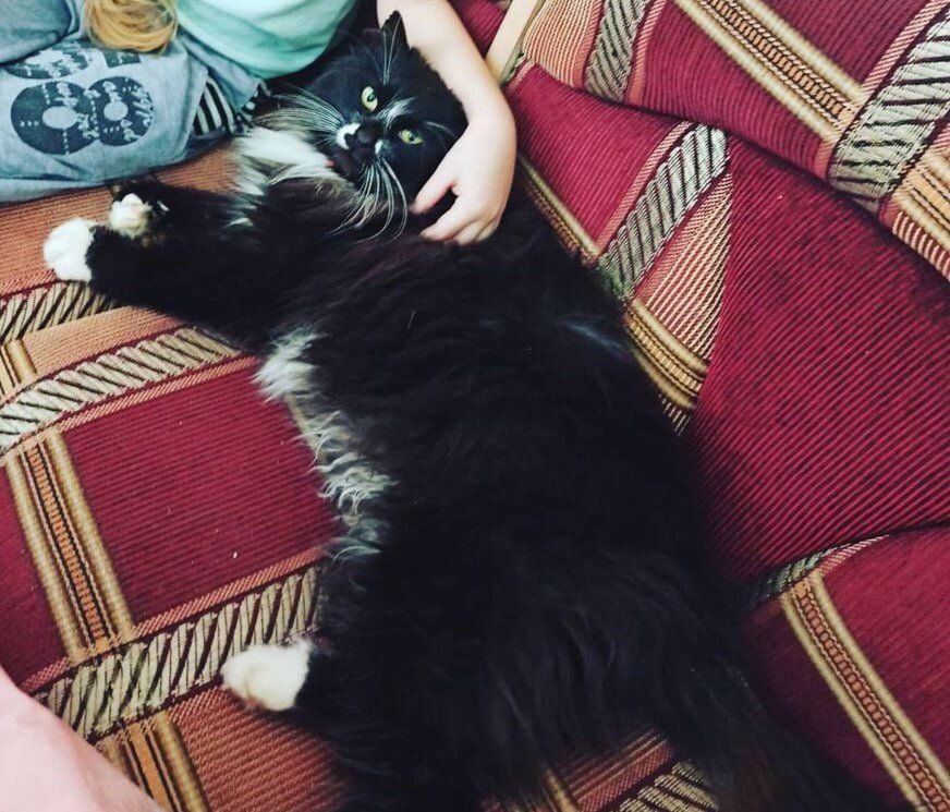 �������� ������� ��� �����: ������ ��� ���������� ������