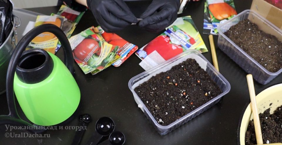 ������ ������ ��������� ����� ��������� ������ ������