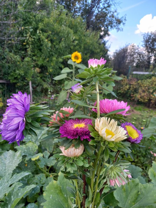 ������� �������� ���������������