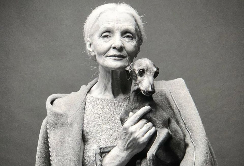 7 ���������, ��� �� ������ ���� ������: ������� ��������, ������� ������������� ��������� ����