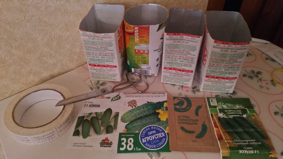 ��� ��������� ������, ���� ���� ��� ��������? ������ ������ ��� ���������