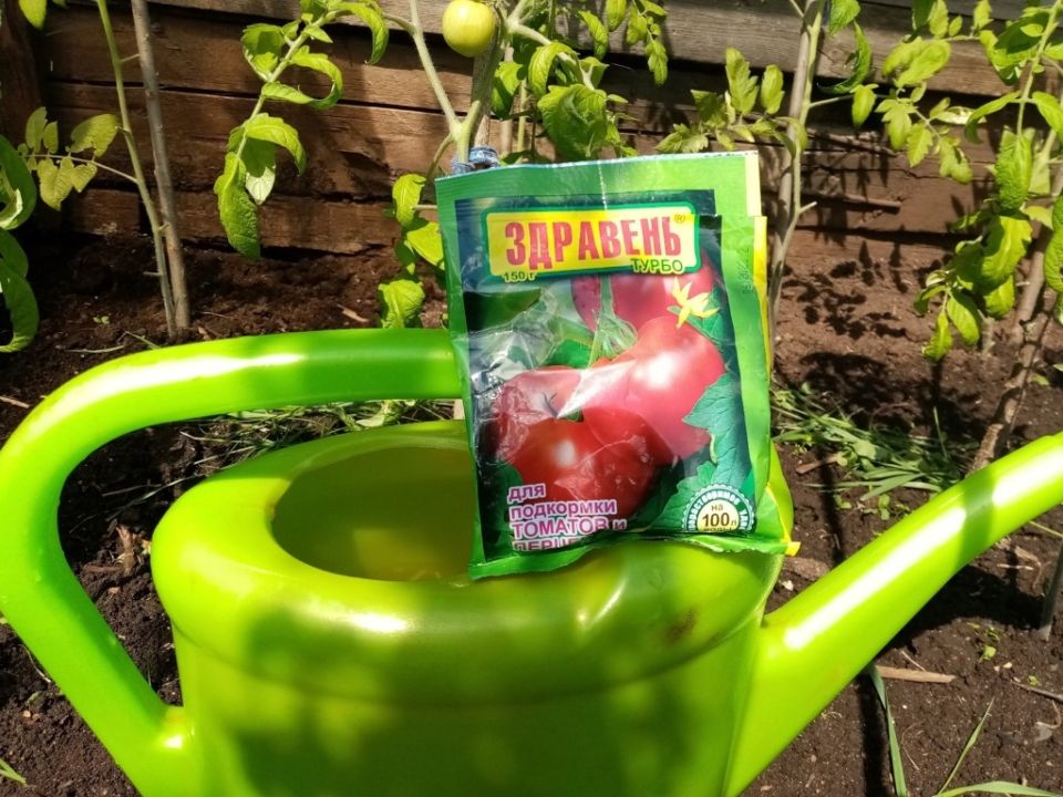 Как удобрение «Здравень Турбо» помогает вырастить идеальный урожай