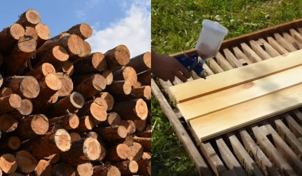 Как защитить доски от гнили: эффективные методы обработки