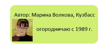 Как не бояться заморозков: что сажать в открытый грунт весной