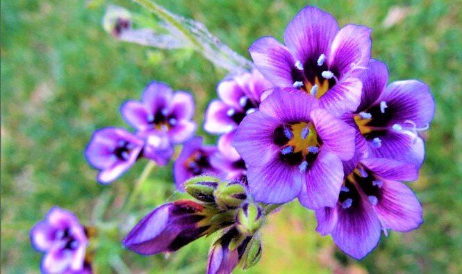 ��������� ����� ��� ������ ����: �����, �������������� � ������������