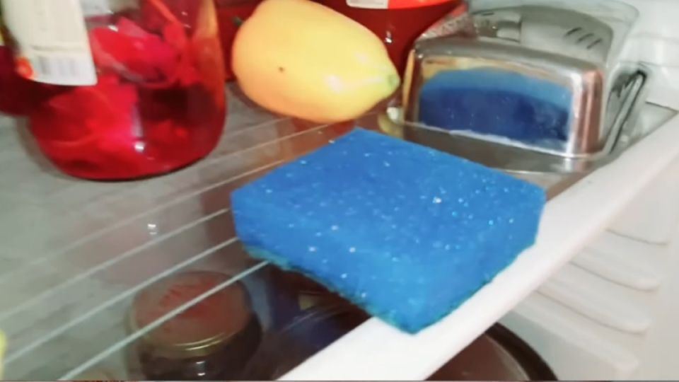 Необычные способы использования губки: от холодильника до обуви