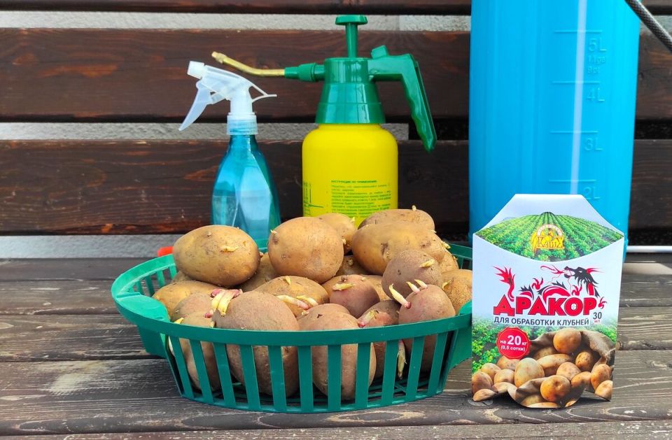 Эффективная защита клубней: секреты применения