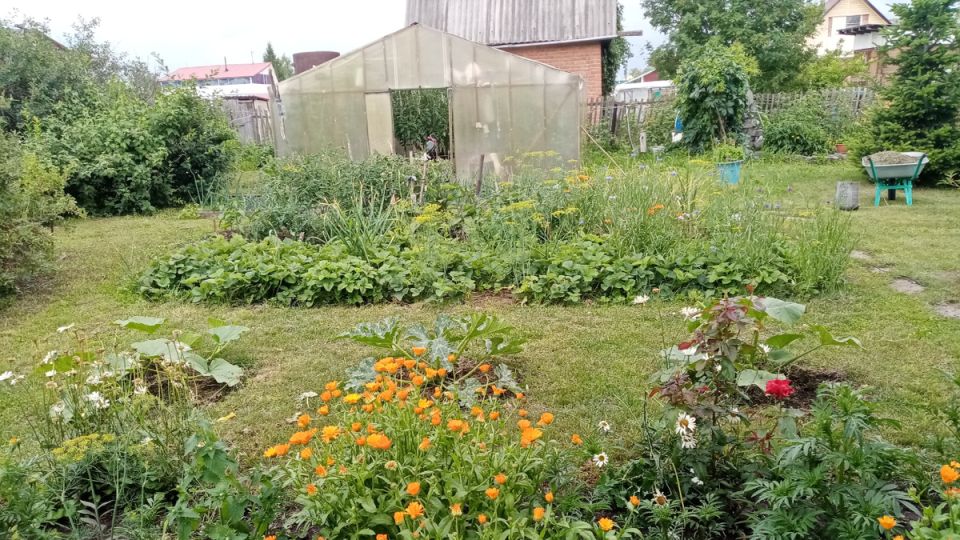 ������, ������� ����� ������ ������: ��� ��������� ��������� ������